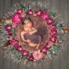 IVF Newborn Photos, Newborn in basket with IVF Needles surrounding her