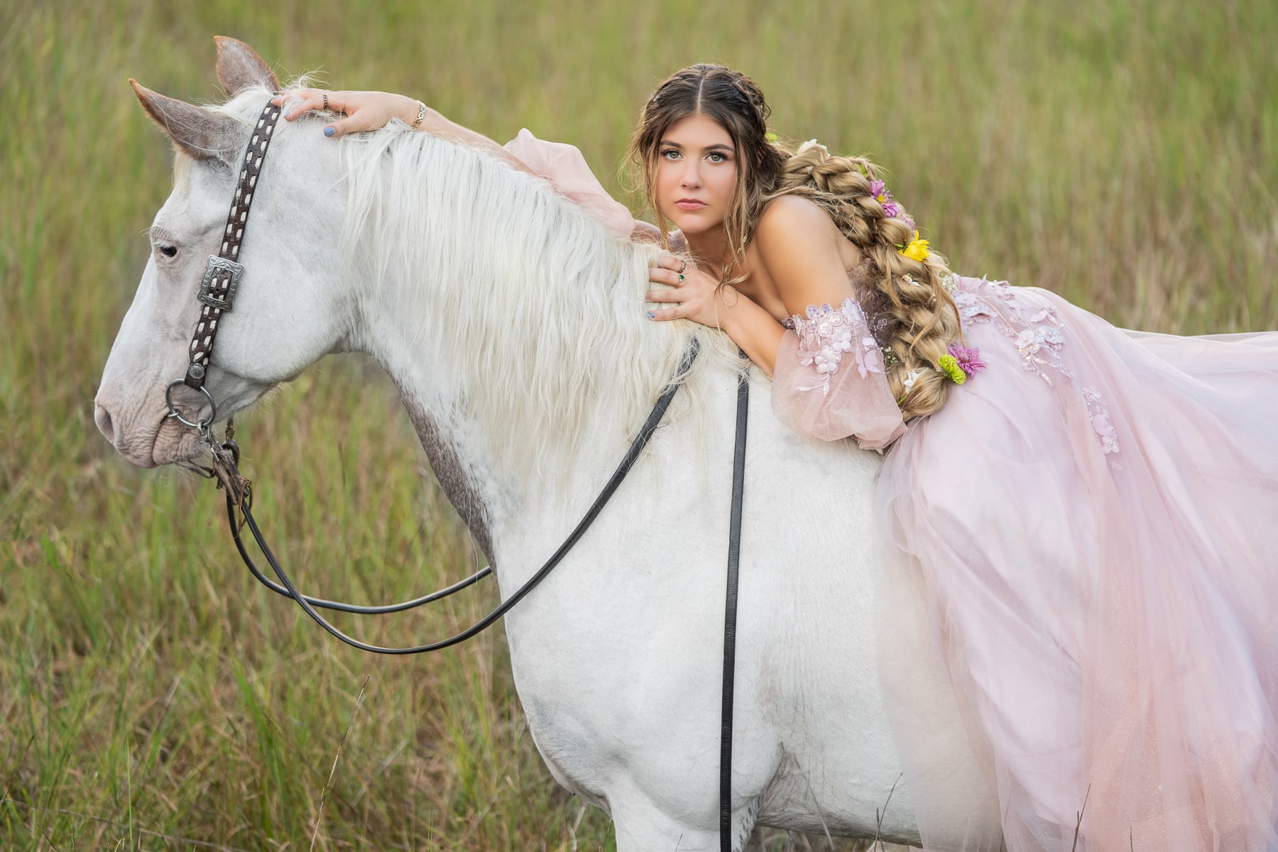 equine photography