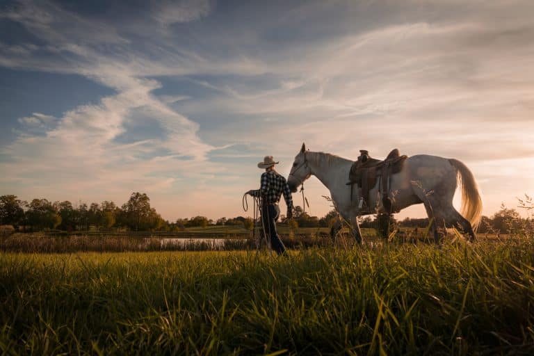 Horse trainer working with horses in a Kentucky field