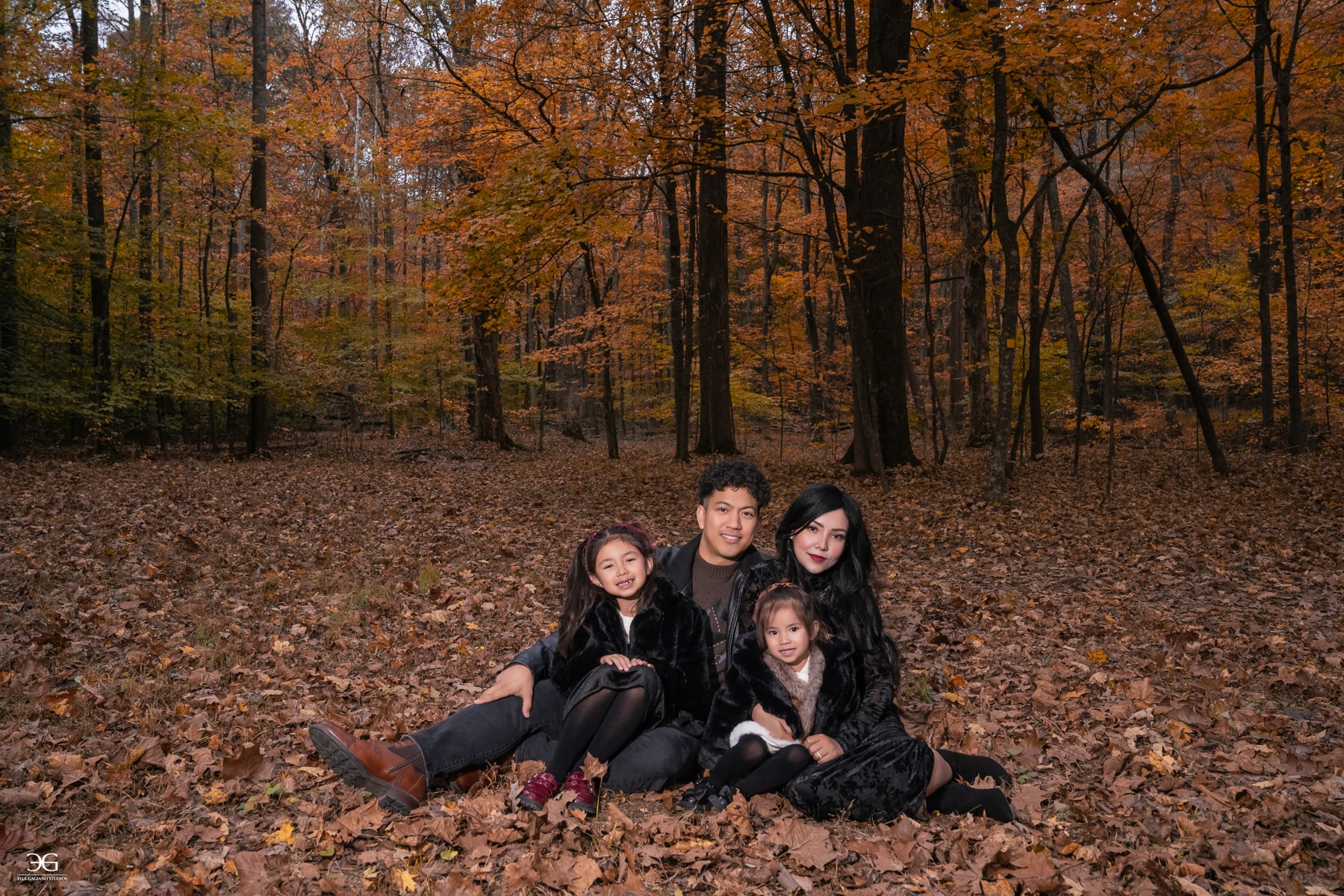 Fall family photos in Kentucky at Bernheim Forest