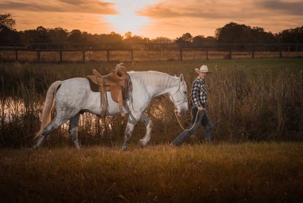 Horse trainer working with a white horse in a Kentucky field
