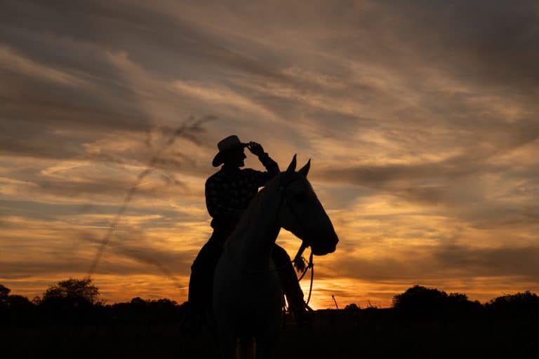 Silhouette of a horseman riding a horse against a dramatic Kentucky sunset